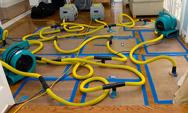 Professional Structural Drying And Dehumidification technician working in Ortonville, MI